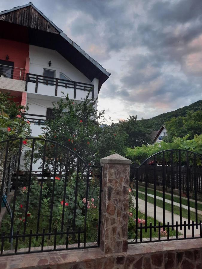 Casa Lica Daire Căciulata Dış mekan fotoğraf