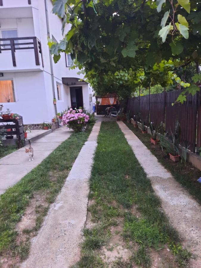 Casa Lica Daire Căciulata Dış mekan fotoğraf